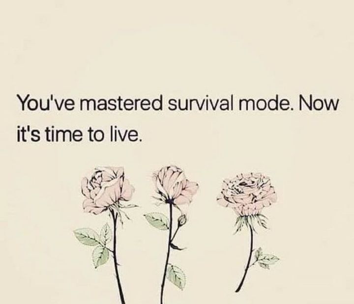 An inspirational graphic featuring black text centered on a cream-colored background. Below the text, there are three delicate, hand-drawn illustrations of light pink roses on long stems with green leaves, arranged in a row.