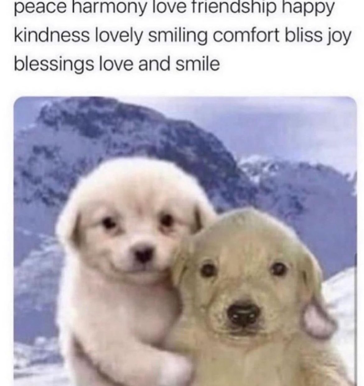 A meme featuring two puppies in a snowy mountain landscape. On the left is a fluffy white puppy that appears to be smiling. On the right is a light brown puppy with a slightly more serious or blank expression. The top of the image contains several rows of positive, uplifting words.