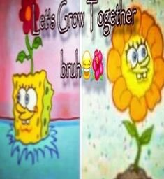 A digital collage featuring cartoon characters. On the left, there is a SpongeBob SquarePants character with a flower growing out of his head. On the right, there is a large, smiling sunflower character. The background is a light, textured color with some speckles.