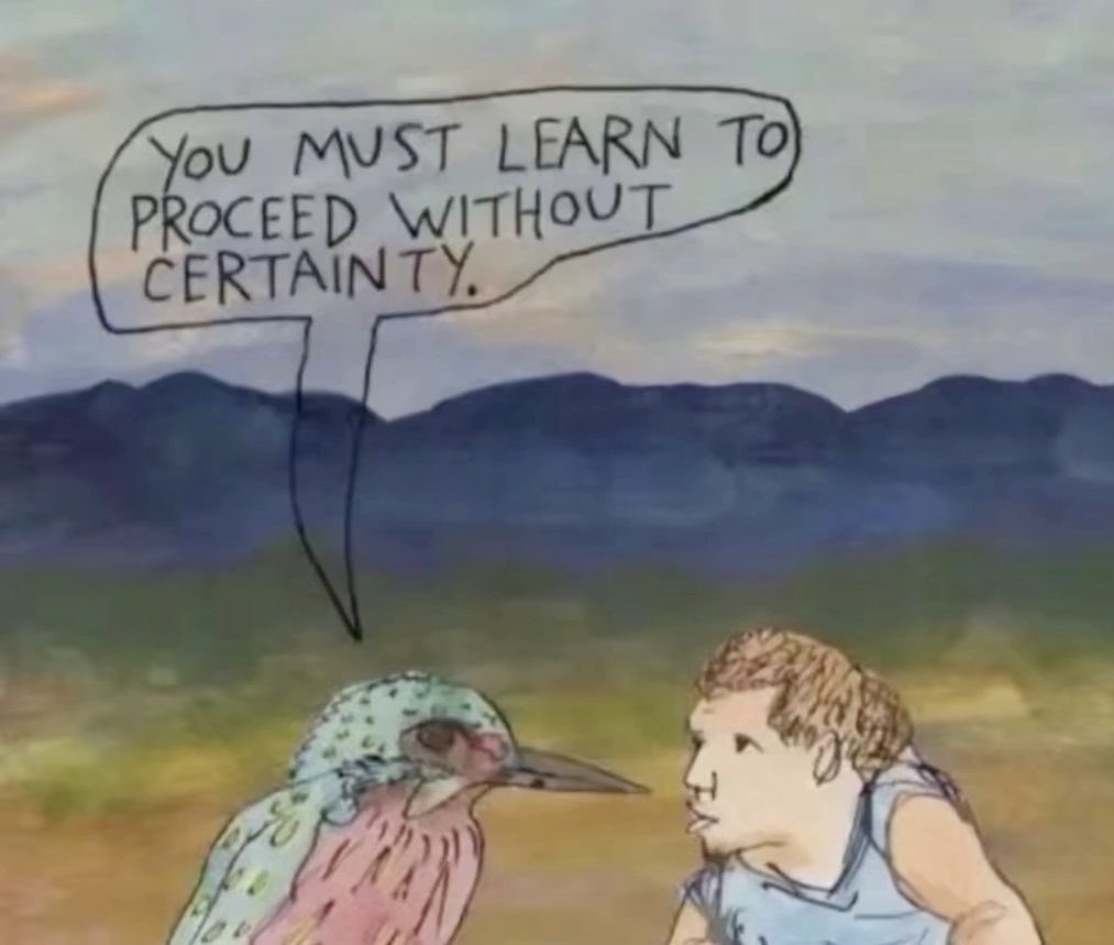 An illustrative drawing featuring a kingfisher bird and a person looking at each other. A speech bubble coming from the bird contains the text: 'YOU MUST LEARN TO PROCEED WITHOUT CERTAINTY.' The background consists of a landscape with rolling hills or mountains under a cloudy sky.