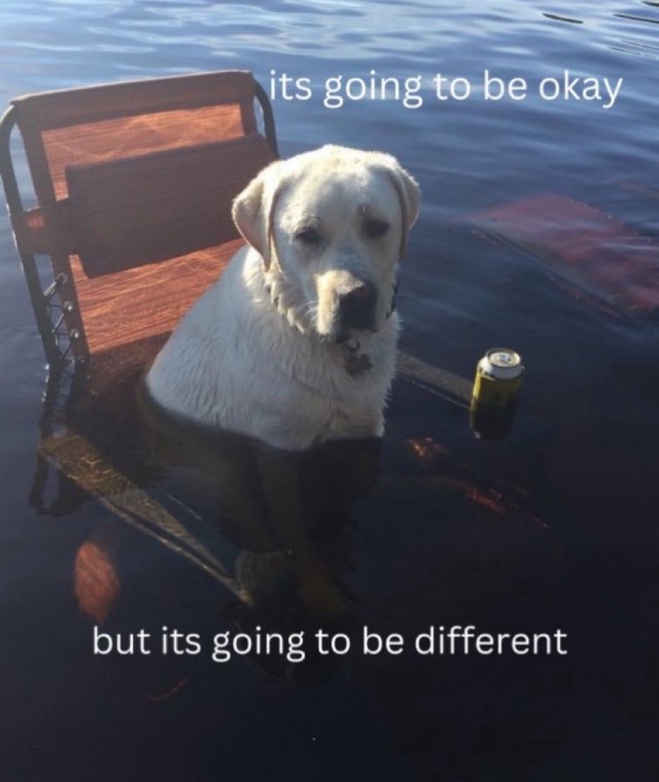 A meme featuring a white Labrador Retriever sitting on a wooden bench that is partially submerged in a body of water. The dog has a somber expression. A single yellow can floats in the water next to the bench. The image has text overlaid at the top and bottom.