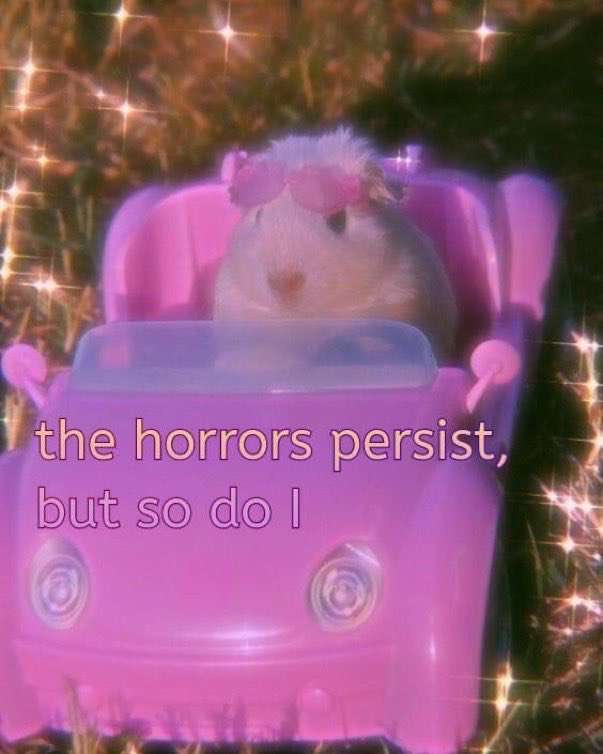 A meme featuring a small, fluffy white and light-colored hamster wearing pink sunglasses, sitting inside a small pink toy car. The image has a dreamy, sparkly aesthetic with light glimmers overlaid on it. Text is written in pink lowercase letters across the middle of the image.