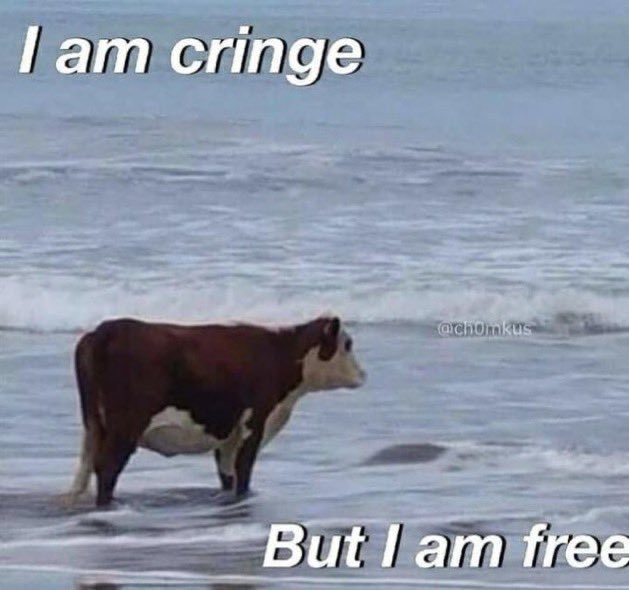 A humorous meme featuring a brown and white cow standing in the shallow water at a beach, facing toward the ocean. The image has text overlaid at the top and bottom.