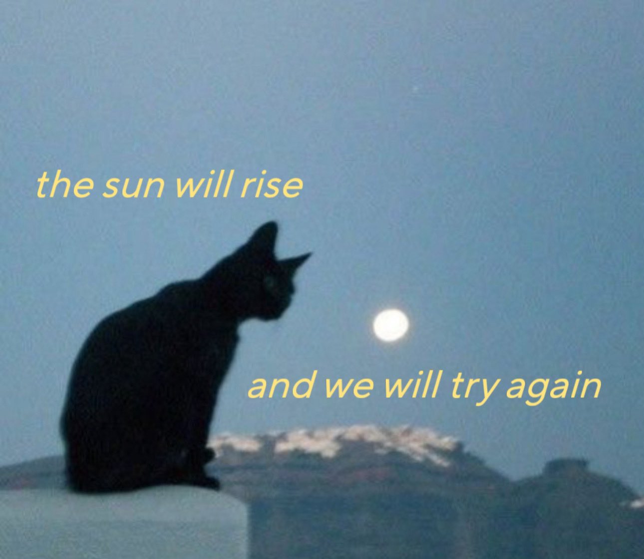 A silhouette of a black cat sitting on a white ledge, looking toward a full moon in a twilight sky. In the background, there are mountains under a dim blue sky. The image features inspirational text overlaid on the scene.