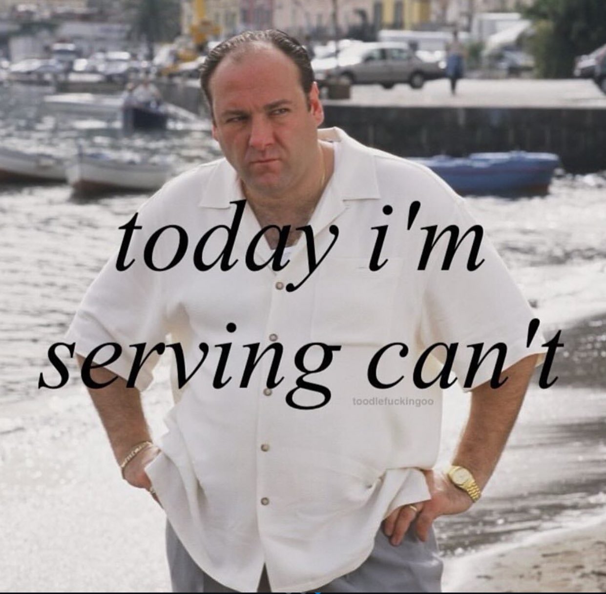 A meme featuring a medium shot of actor James Gandolfini as Tony Soprano from The Sopranos. He is standing on a beach, wearing a white short-sleeved button-down shirt and grey trousers, looking off to the side with a serious expression. In the background, there is a body of water with several small boats and a pier with cars and people. Overlaid on the image in large, black, italicized serif font is the text 'today i'm serving can't'. In small text below the main caption, there is a watermark that reads 'toodlefuckingoo'.