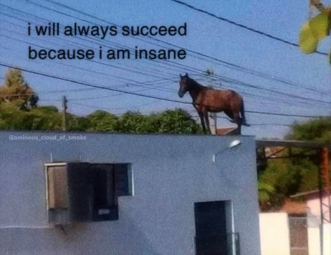 A surreal meme image featuring a brown horse standing on the flat roof of a light blue building. Above the horse, text is superimposed on a clear blue sky crisscrossed by power lines. The scene is bright and sunny, with green trees visible in the background.
