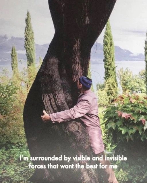 A vertical photograph showing a person in a greyish-purple long-sleeved shirt and a blue beanie hugging a very large, thick, dark-colored tree trunk. The person is facing the tree with their arms wrapped around it. In the background, there are tall, thin cypress trees, green foliage, and a distant view of mountains and a body of water under a pale sky. There is white text overlaid at the bottom of the image.