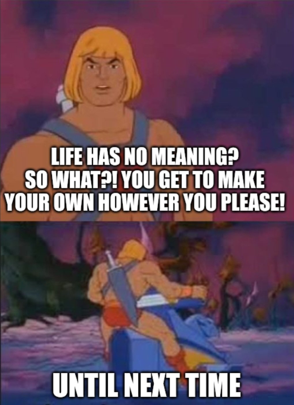 A two-panel meme featuring the character He-Man from the animated series 'He-Man and the Masters of the Universe'. The top panel is a close-up shot of He-Man looking serious against a purple and blue sky background. The bottom panel shows He-Man from behind, riding his battle cat, Battle Cat, into the distance. Both panels contain large, white, capitalized text overlaid on the image.