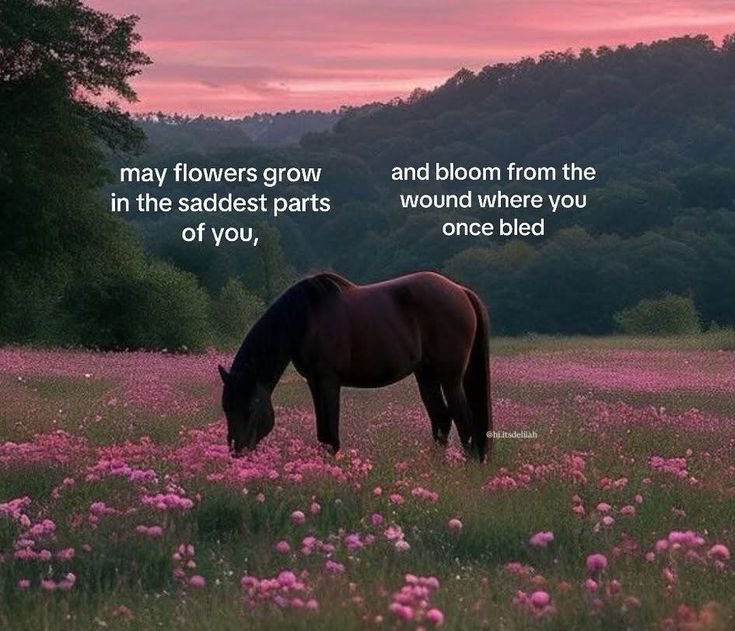 A landscape image featuring a brown horse grazing in a field of pink flowers during a sunset. The sky is a soft shade of pink and purple, casting a warm glow over the rolling green hills in the background. Superimposed white text is placed over the sky area of the image, conveying a poetic message.