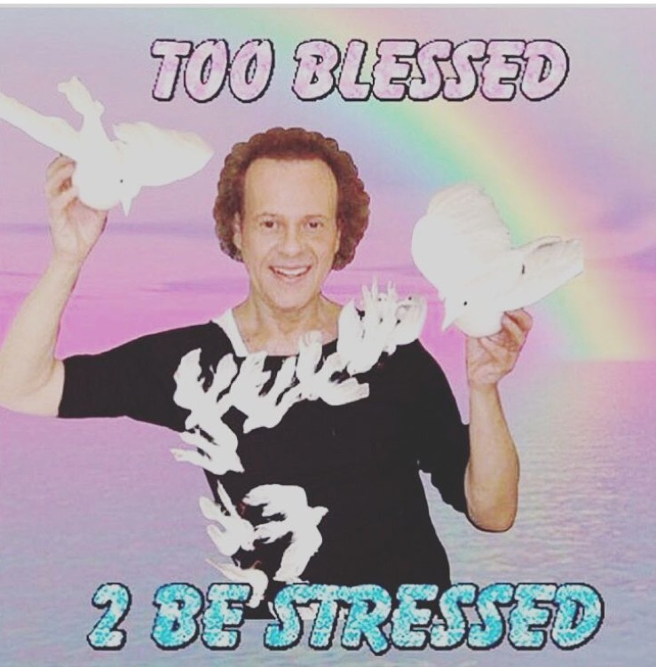A vibrant, surreal image featuring a smiling man with curly hair set against a pink and purple sky with a rainbow. He is wearing a black t-shirt with white bird silhouettes on it. He is holding a white bird model in each hand, one up near his head and one lower near his chest. The overall aesthetic is psychedelic or dreamlike. Large stylized text at the top reads 'TOO BLESSED' and at the bottom '2 BE STRESSED'.
