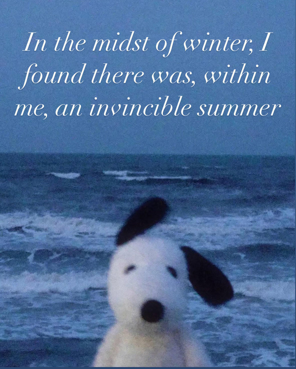 A vertical image featuring a white cartoon dog with black ears and a black nose, resembling Snoopy, positioned in the foreground against a background of ocean waves under a blue sky. Overlaid on the top half of the image is white, italicized text that reads: 'In the midst of winter, I found there was, within me, an invincible summer'.
