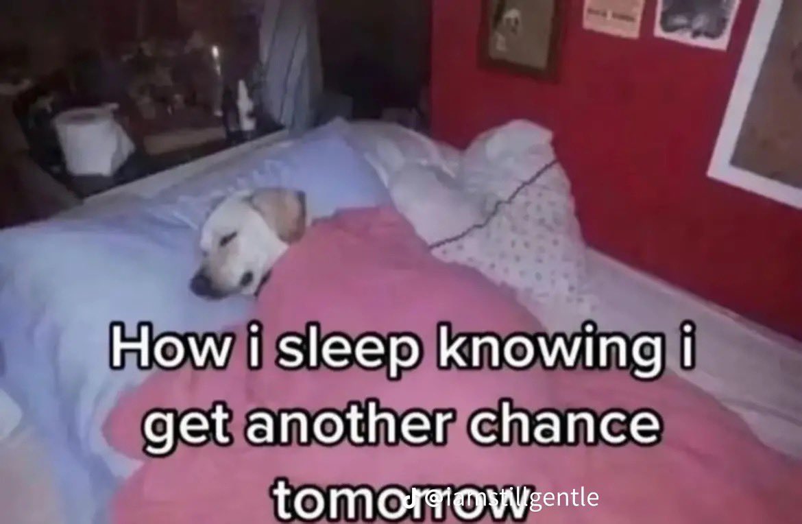 A low-quality meme image showing a light-colored dog sleeping peacefully in a bed under a pink blanket. The background shows a bedroom setting with a red wall and some framed pictures. Large white text with a black outline is overlaid on the bottom half of the image.