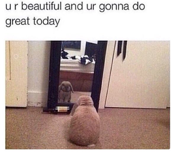 A meme featuring a small, light brown rabbit looking into a full-length mirror. The rabbit's reflection is visible in the mirror. Above the image, there is motivational text.