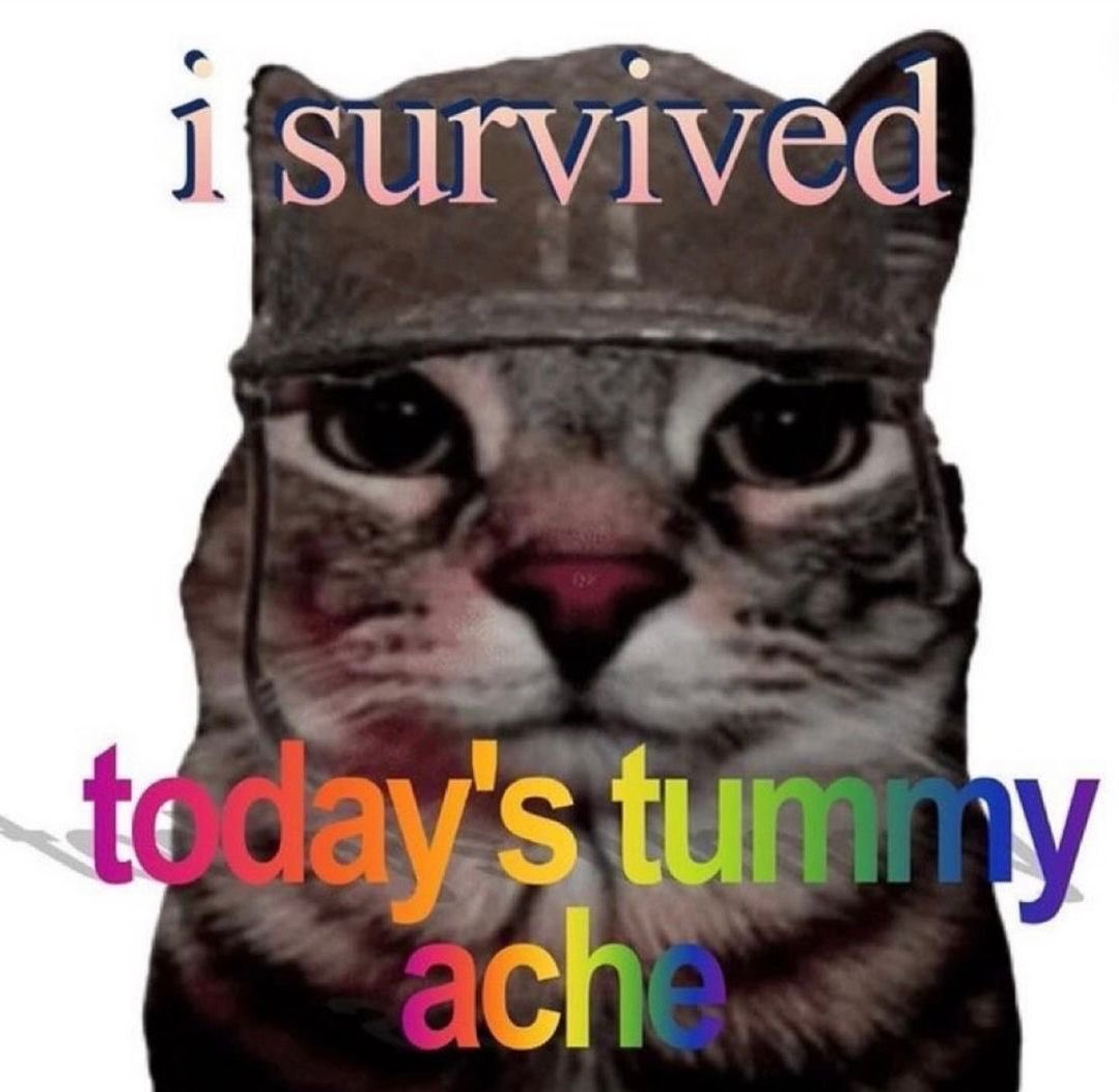 A humorous meme featuring a close-up, slightly distorted image of a cat's face wearing a military-style helmet. The cat has large, expressive eyes and a pink nose. Overlaid on the image is colorful, rainbow-gradient text that reads 'i survived today's tummy ache'.