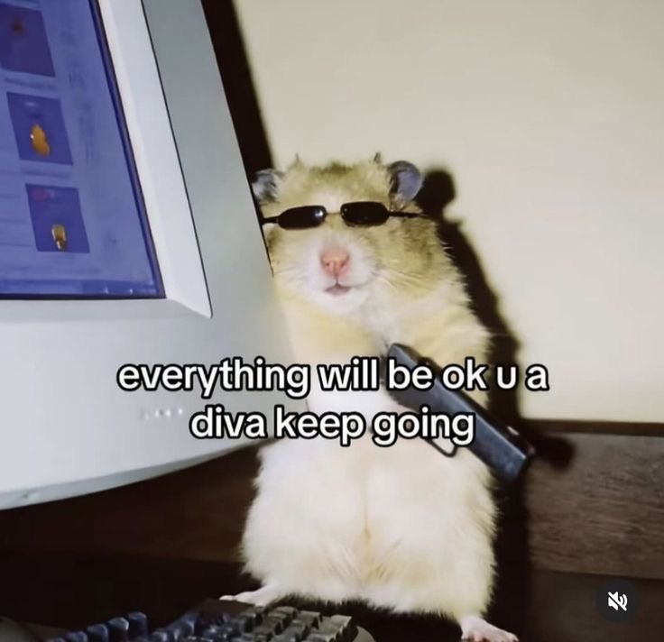 A humorous meme featuring a small hamster wearing tiny black sunglasses. The hamster is sitting upright on a desk next to a computer monitor, appearing to look directly at the camera with a confident expression. The background shows a portion of a computer screen and a dark desk surface.