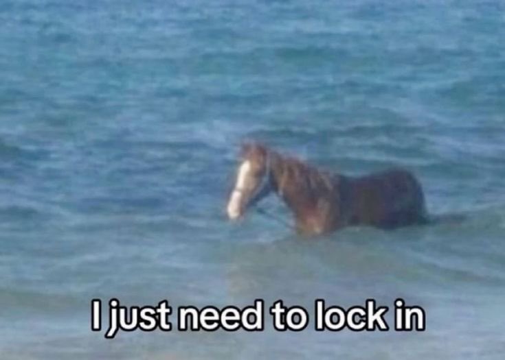 A meme featuring a blurry image of a brown horse standing in shallow ocean water. At the bottom of the image, there is white text with a black outline that reads 'I just need to lock in'.