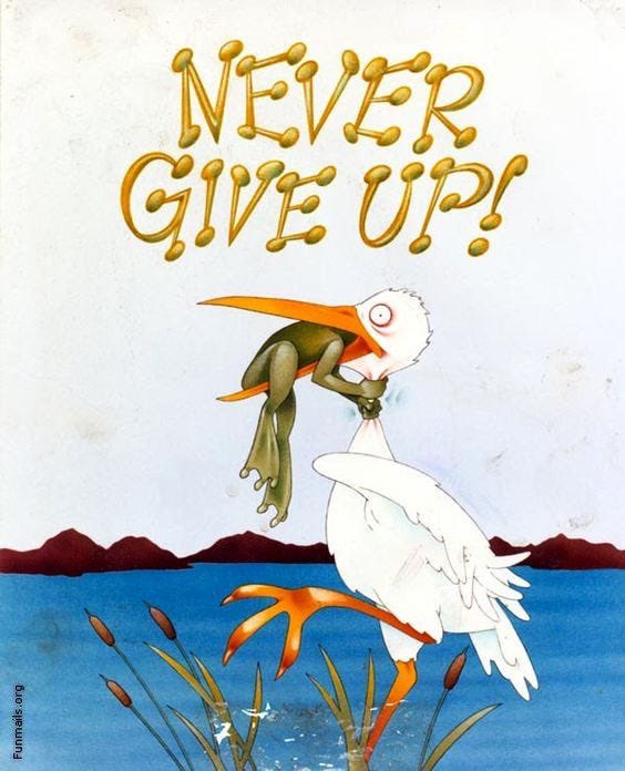 A humorous cartoon illustration featuring a large white bird, likely a pelican or stork, which has a small green bird stuck in its throat. The small bird has a wide-eyed, panicked expression, while the large bird has a wide-eyed, startled look. The background shows a simple landscape with dark red hills and a blue body of water with some reeds. The text 'NEVER GIVE UP!' is written in large, stylized, golden bubble letters at the top of the image. A watermark 'funmails.org' is visible vertically on the bottom left side.