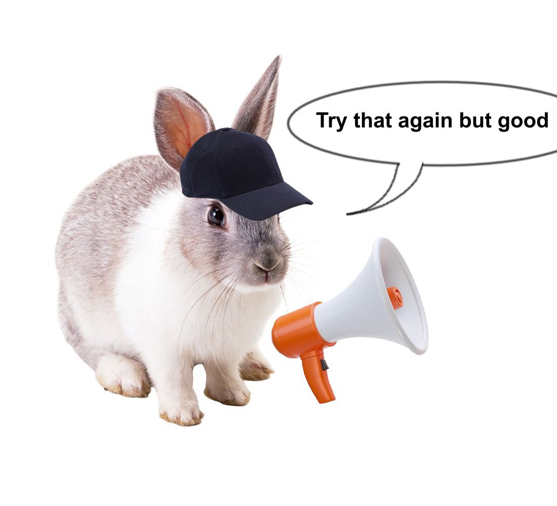 A studio portrait of a small, light brown and white rabbit wearing a black baseball cap. Next to the rabbit is a small orange and white megaphone. A speech bubble originating from the rabbit contains the text 'Try that again but good'. The background is solid white.