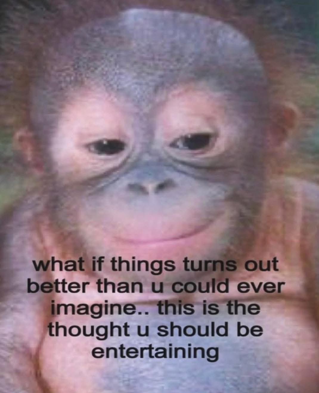 A close-up, slightly blurry image of a small primate, likely a baby orangutan, with a subtle, knowing smile. The primate is looking slightly downward with a calm expression. Overlaid on the bottom half of the image is text in a sans-serif font.