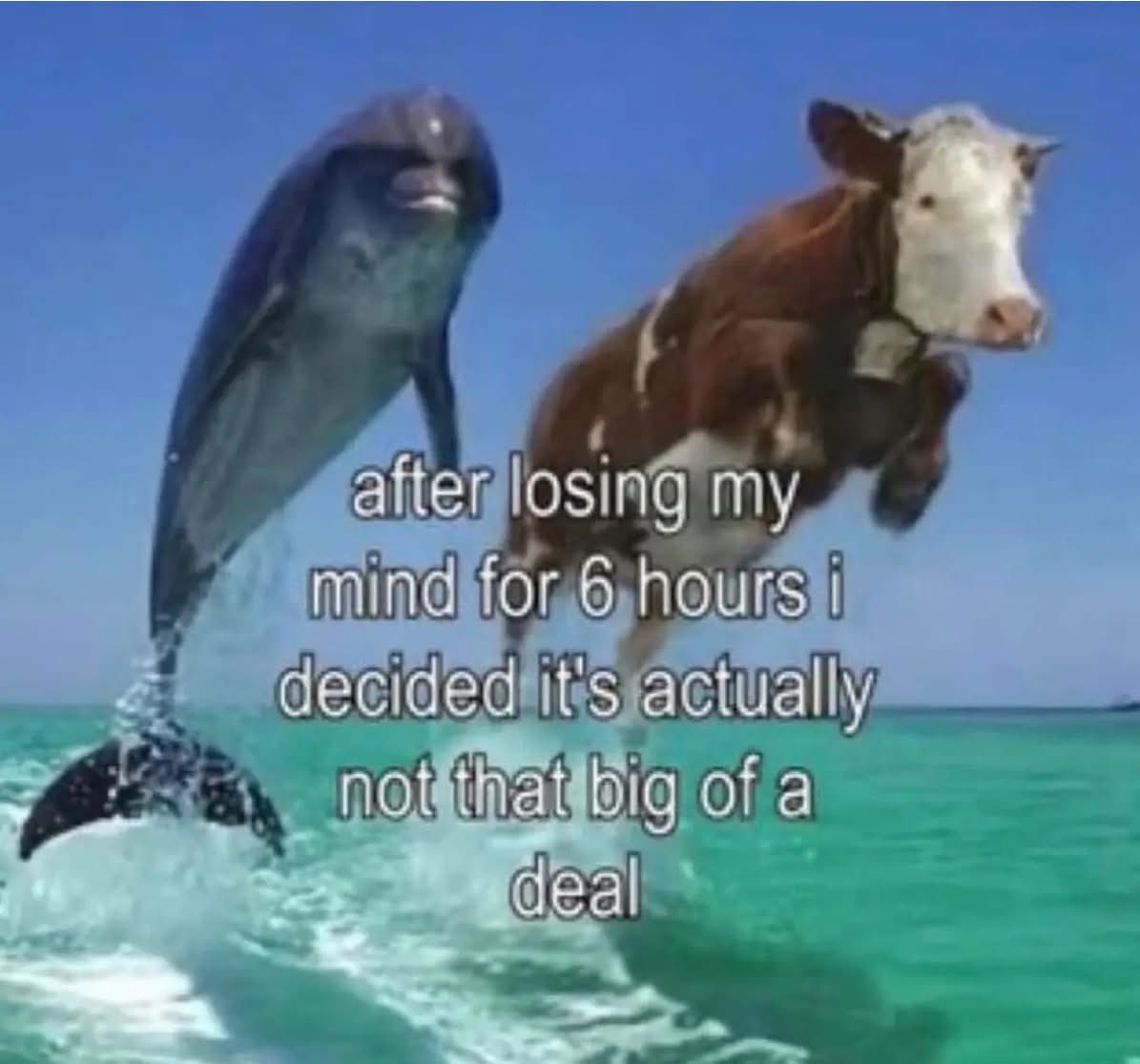 A humorous meme featuring a digitally manipulated image of a dolphin and a cow both leaping out of the ocean under a clear blue sky. The text overlay expresses a sense of relief after a period of emotional distress.