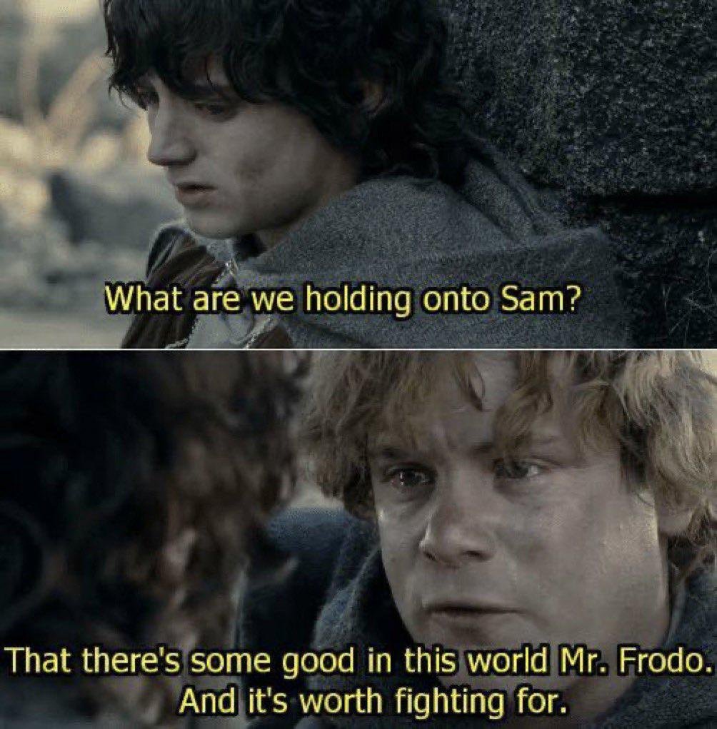 A two-panel meme featuring scenes from 'The Lord of the Rings' film series. The top panel shows Frodo Baggins looking weary and somber, with the subtitle: 'What are we holding onto Sam?'. The bottom panel shows Samwise Gamgee responding with an emotional expression, with the subtitle: 'That there's some good in this world Mr. Frodo. And it's worth fighting for.'