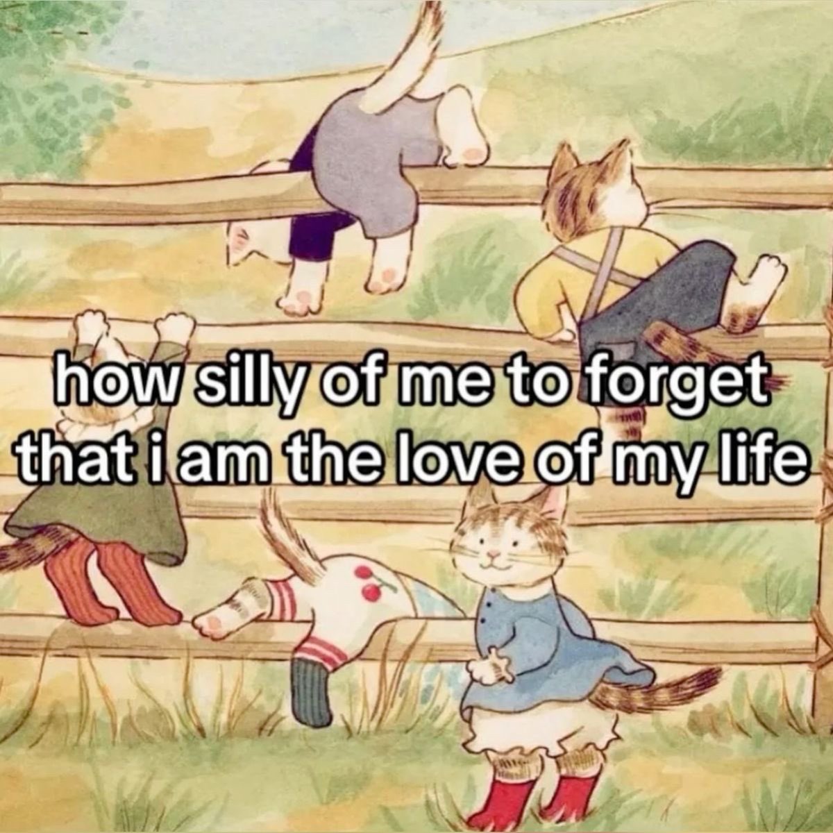 A whimsical, watercolor-style illustration featuring several anthropomorphic cats dressed in small clothes. The cats are interacting with a wooden fence in a grassy field. One cat is climbing over the top rail, one is sitting on the fence looking away, one is hanging upside down from the bottom rail, and one is standing in the foreground wearing a blue dress and red boots. Overlaid in the center of the image is large, white text with a black outline.