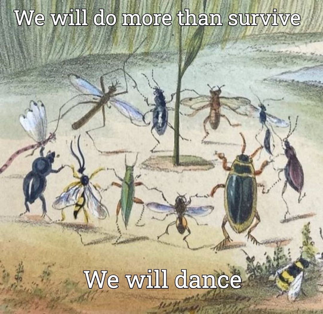 A vintage-style scientific illustration of various insects arranged in a circle on the ground, appearing to dance around a small plant. The image is overlaid with meme-style text. The insects include different types of beetles, flies, a dragonfly, and a wasp. The background is a soft, earthy tone suggesting a natural landscape.