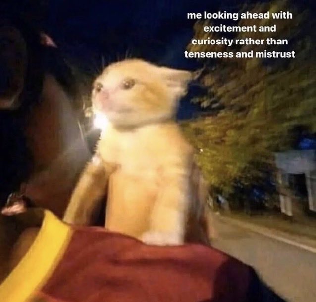 A low-quality, blurry photo of an orange tabby kitten perched on someone's shoulder or lap while in a moving vehicle at night, with text overlaid on the image.