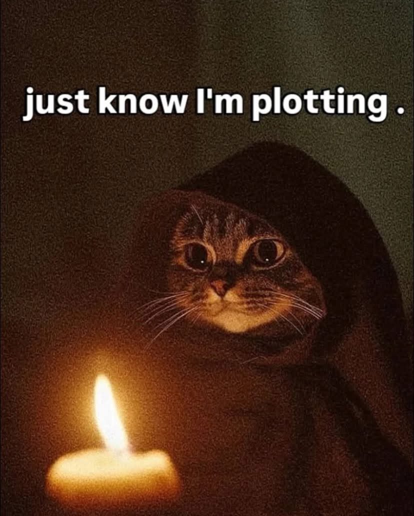 A humorous meme featuring a close-up of a brown tabby cat wearing a dark hooded cloak, resembling a mysterious or sinister figure. The cat is looking directly at the camera with wide eyes. In the foreground, a single lit candle provides a warm, dramatic light source, casting shadows and creating a moody, conspiratorial atmosphere.