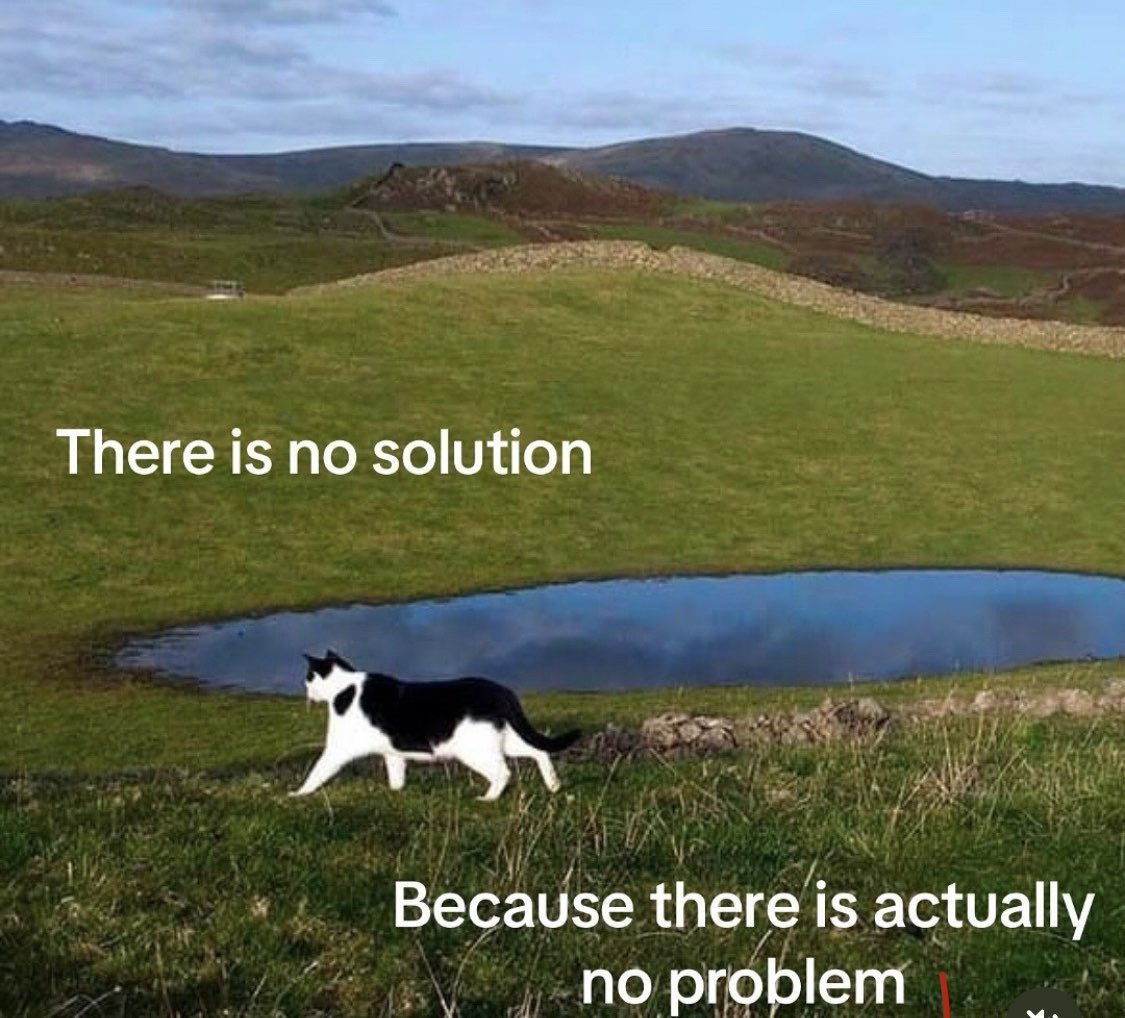A meme featuring a black and white cat walking through a grassy field near a small pond. In the background, there are rolling green hills under a blue sky. The image contains text overlaid on the landscape.