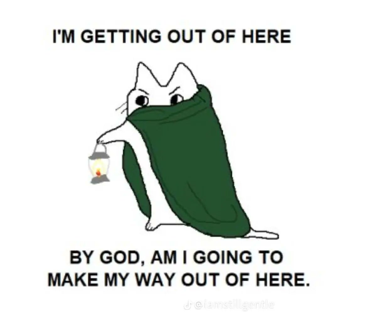 A digital cartoon illustration of a white cat wearing a dark green cloak. The cat has a determined or grumpy facial expression and is holding a small, lit lantern in its outstretched paw. The image is styled as a meme with text at the top and bottom.