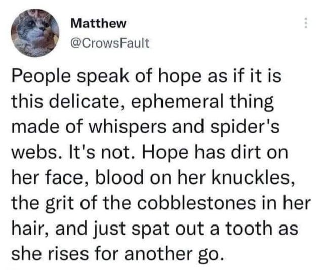 A screenshot of a social media post from a user named Matthew (@CrowsFault). The post features a profile picture of a small animal, possibly a rodent or a small mammal. The post contains a poetic and gritty quote about the nature of hope, describing it not as something delicate, but as something resilient and battle-worn.