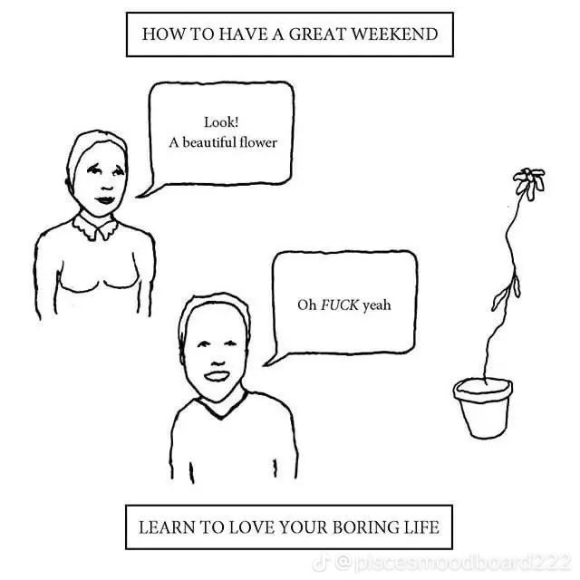 A black and white line drawing meme featuring two characters. A woman is pointing towards a single, simple flower in a pot and says, 'Look! A beautiful flower'. A man responds with, 'Oh FUCK yeah'. At the top, a header reads 'HOW TO HAVE A GREAT WEEKEND' and at the bottom, a footer reads 'LEARN TO LOVE YOUR BORING LIFE'. There is a watermark at the very bottom right that says '@piscesmoodboard222'.