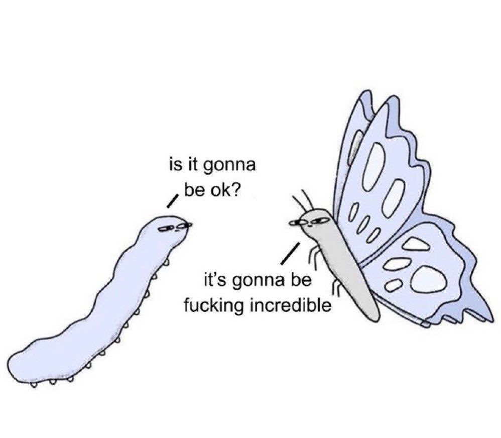 A two-panel style cartoon on a white background featuring a caterpillar and a butterfly. On the left, a long, pale blue caterpillar with a tired expression looks up and asks, 'is it gonna be ok?'. On the right, a pale blue butterfly with a determined, slightly intense expression looks back and responds, 'it's gonna be fucking incredible'. The image uses humor to metaphorically describe transformation or growth.