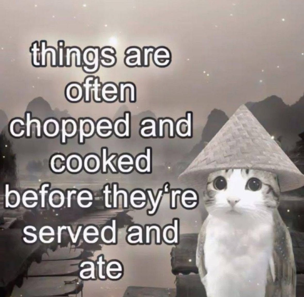 A meme featuring a white and grey cat wearing a traditional conical Asian hat (nón lá). The cat is positioned on the right side of the frame, looking directly at the camera with large, wide eyes. The background is a misty, atmospheric landscape of mountains and water, reminiscent of a traditional Chinese ink painting or a scene from Guilin. Large white text with black outlines is overlaid on the image.