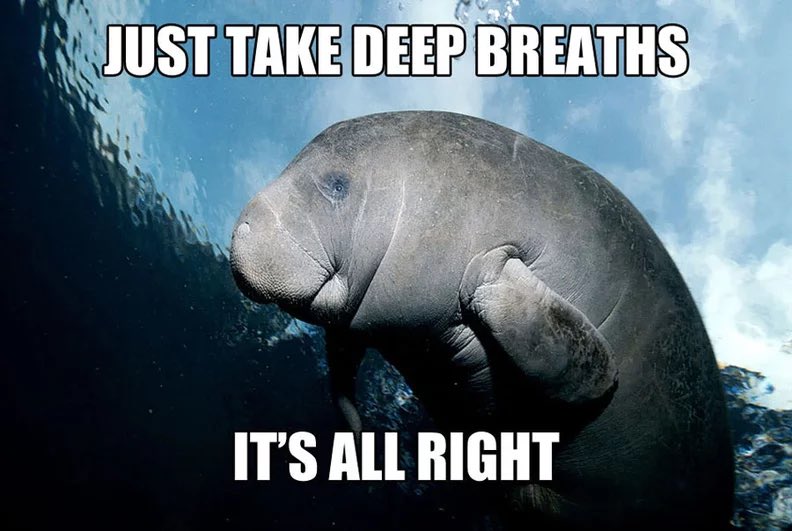 A meme featuring a close-up shot of a manatee swimming underwater. The manatee is positioned in the center, facing left, with sunlight filtering through the water surface above it. The background shows deep blue ocean water with light rays. Large, white, sans-serif text is overlaid on the image: 'JUST TAKE DEEP BREATHS' at the top and 'IT'S ALL RIGHT' at the bottom.