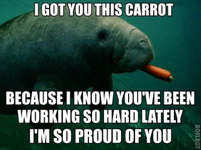 A close-up, side-profile shot of a manatee underwater. The manatee appears to be holding a single orange carrot in its mouth. The background is dark and murky, typical of an underwater environment.