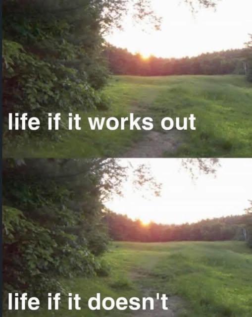 A two-panel meme featuring the same background image of a sun setting over a grassy field and forest. The top panel has the text 'life if it works out' overlaid on it, and the bottom panel has the text 'life if it doesn't' overlaid on it. The image implies that life looks the same regardless of whether things go well or poorly.