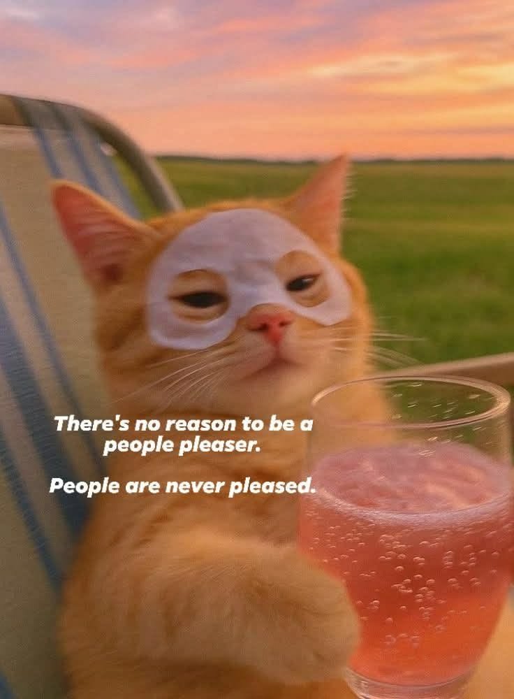 A humorous meme featuring an orange tabby cat relaxing in a lounge chair outdoors during sunset. The cat is wearing white under-eye skincare patches and has a calm, somewhat indifferent expression. In the foreground, there is a glass filled with a pink, carbonated beverage with ice. The background shows a soft sunset sky with hues of orange and pink over a green field. Text is overlaid on the center of the image.