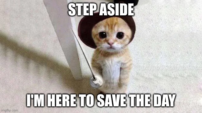 A humorous meme featuring a small, wide-eyed ginger kitten wearing a small, dark hat. The kitten is looking directly at the camera with a dramatic expression. The image is overlaid with bold, white text.