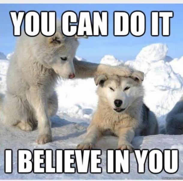 A meme featuring two white huskies in a snowy landscape. One husky is sitting and placing its paw on the head of the other husky, which is lying down. The image has large, white, capitalized text overlaying the top and bottom.